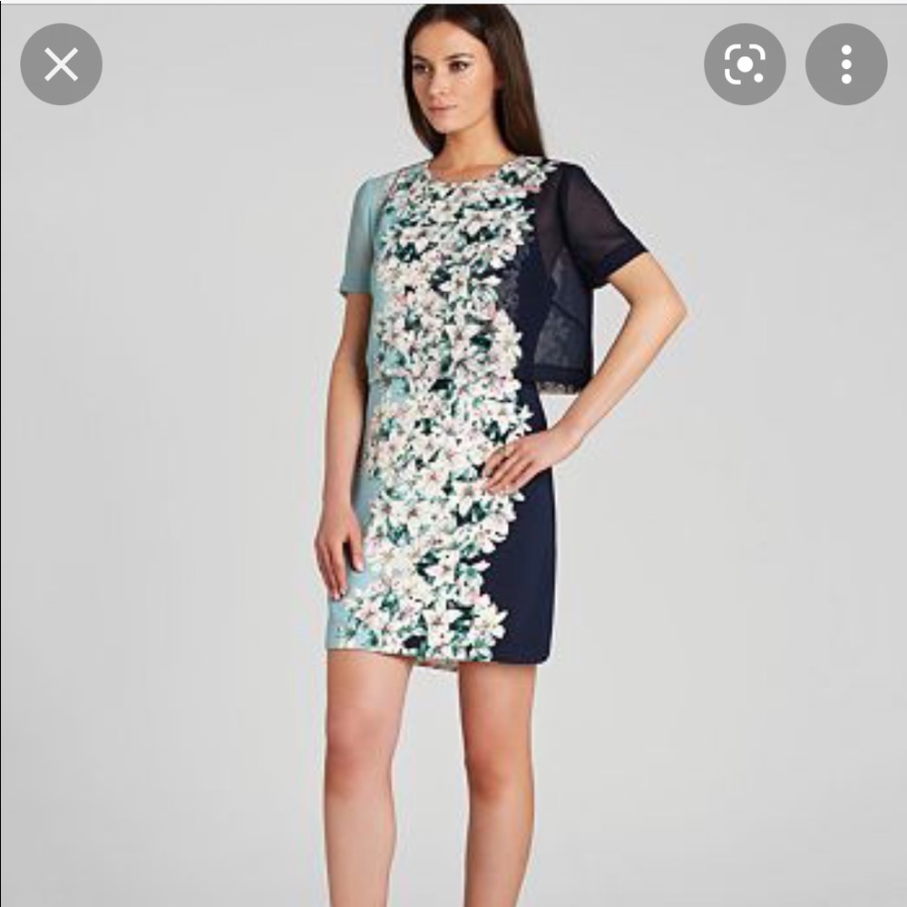 bcbgmaxazria dress